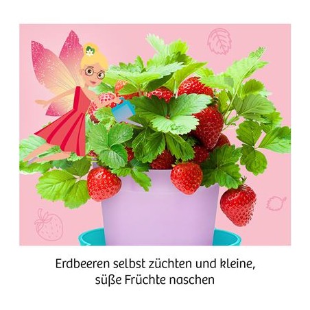 KOSMOS - Feen-Erdbeeren