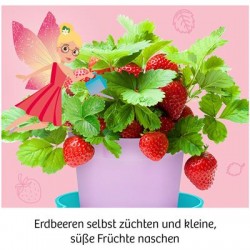 KOSMOS - Feen-Erdbeeren